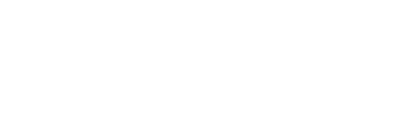 Action Renewables