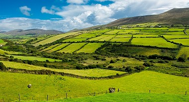 Where does Ireland's energy come from?