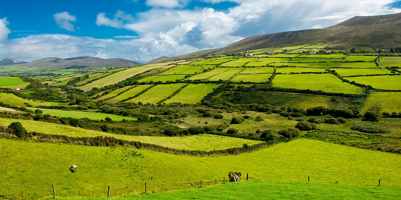 Where does Ireland's energy come from?