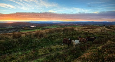 An Interview with Dr Jane McCullough, Manager of Climate Northern Ireland.