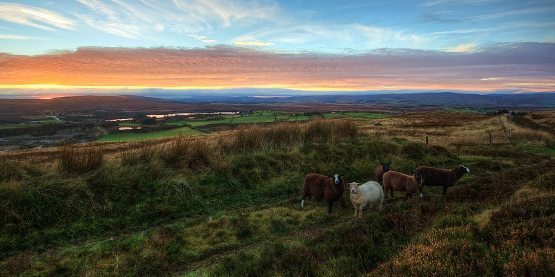 An Interview with Dr Jane McCullough, Manager of Climate Northern Ireland.