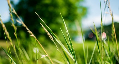 Northern Ireland’s Top ‘Green’ Organisations Announced at 2016 Action Renewables