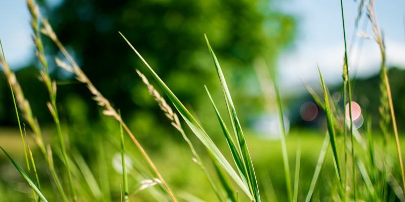 Northern Ireland’s Top ‘Green’ Organisations Announced at 2016 Action Renewables