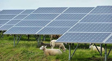 Renewable Energy and Green Farming