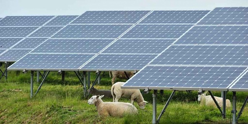 Renewable Energy and Green Farming